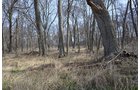 Property photo 147 - REAL ESTATE & PERSONAL PROPERTY AUCTION, 140 Acres offered in 8 Tracts or Combinations in Steuben County